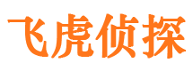 龙湖市私家侦探